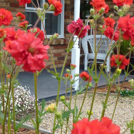 Hazelcreek Cottages Exeter Экстерьер фото