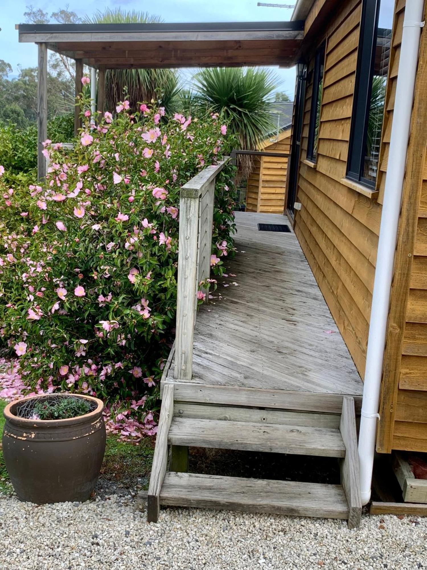 Hazelcreek Cottages Exeter Экстерьер фото