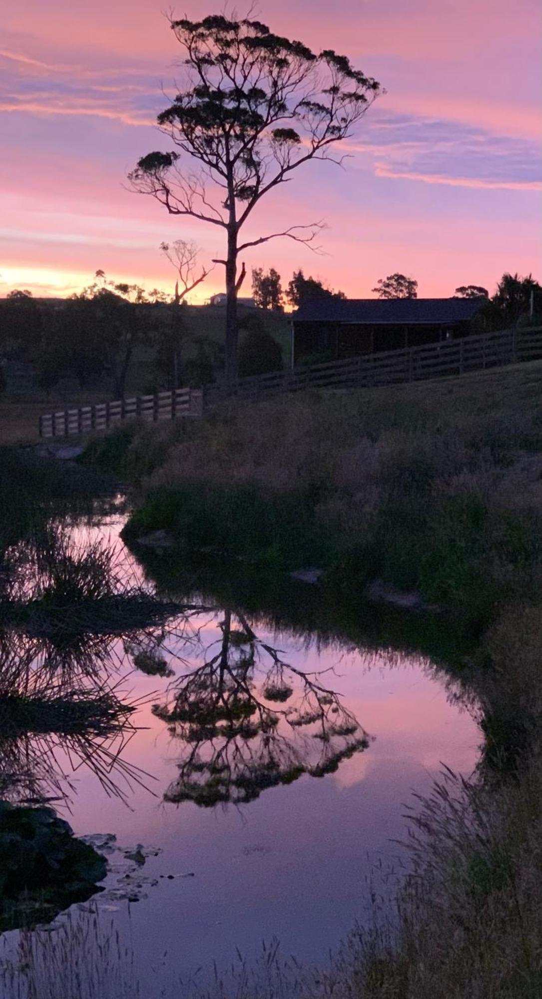 Hazelcreek Cottages Exeter Экстерьер фото